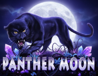 Panther Moon